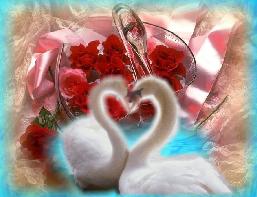 sticker_19612513_33093228