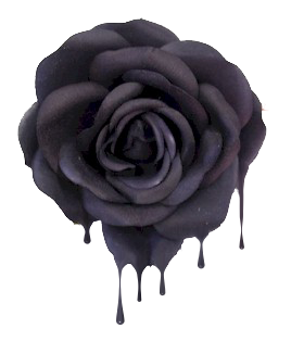 sticker_16584023_40651439