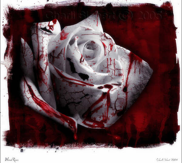 sticker_6514741_10749376