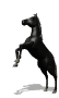 sticker_24784674_37510082