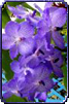 sticker_6195420_40350975