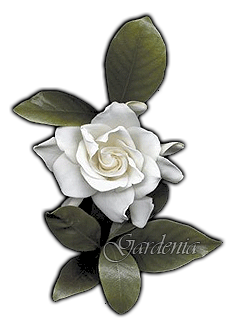 sticker_13114765_36916015