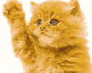 sticker_5355487_7091368