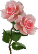 sticker_18073926_36661843
