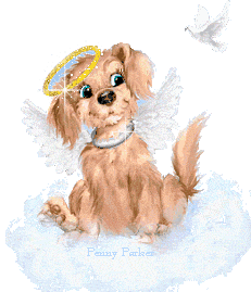 sticker_166449_2569156
