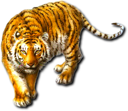 sticker_27137635_37966382