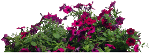 sticker_23663428_40613020