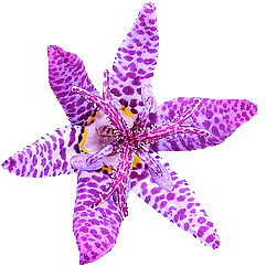 sticker_11850980_23270395
