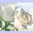 sticker_14465204_20570991