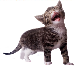 sticker_12610675_40542308