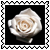 sticker_3406854_18920578