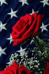 sticker_10782918_17197787
