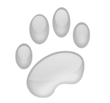 sticker_15760152_40998968