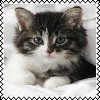 sticker_8987740_40356864