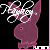 sticker_19515278_31059367