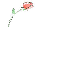 sticker_18828558_39097656