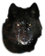 sticker_11574120_15624649