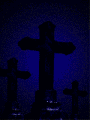 sticker_7862418_11372028