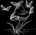 sticker_11927128_18579443