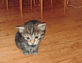 sticker_791853_23007238