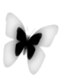sticker_24128704_34457936