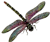 sticker_6920856_40085281