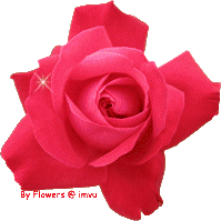 sticker_23994491_41503952