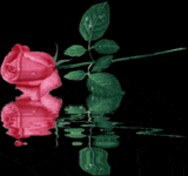 sticker_14532401_23931366