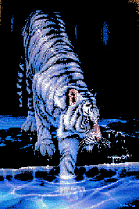 sticker_756552_681316