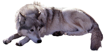 sticker_27998187_40388758