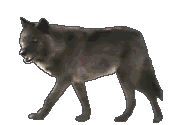 sticker_566846_6011903