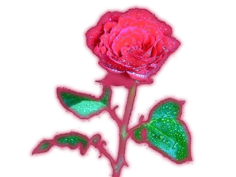 sticker_4448566_15964314