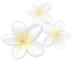 sticker_9147000_22073990