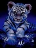 sticker_4124716_5442192