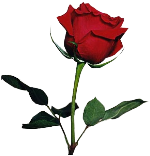 sticker_6671682_18796113