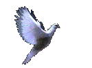 sticker_17933605_34127742