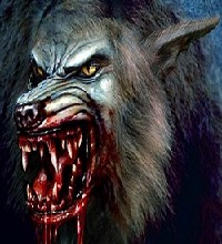 sticker_23746960_32503171