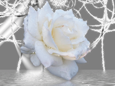 sticker_22863730_34440463