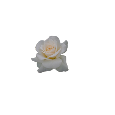 sticker_2125402_6974902