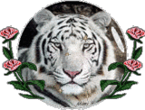 sticker_22226974_44067149