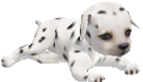 sticker_23375363_37271237