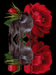 sticker_6816321_10078917