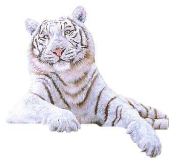 sticker_28042473_38699672
