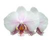 sticker_19739027_34899478
