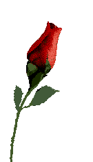sticker_11544912_20907601