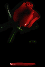 sticker_1063307_5852020