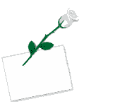 sticker_16486445_24256227