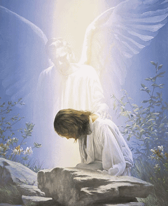 sticker_9728165_16146672