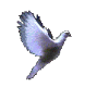 sticker_17162706_31927055