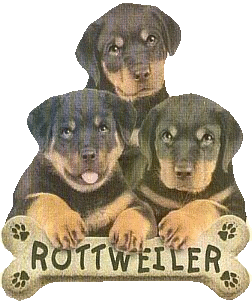 sticker_12547793_24548568